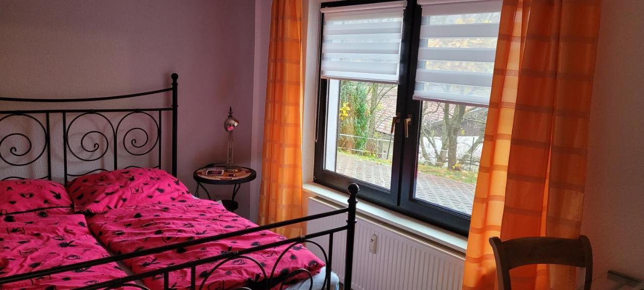 Fewo Harz Haennig 1 Wieda Exterior foto