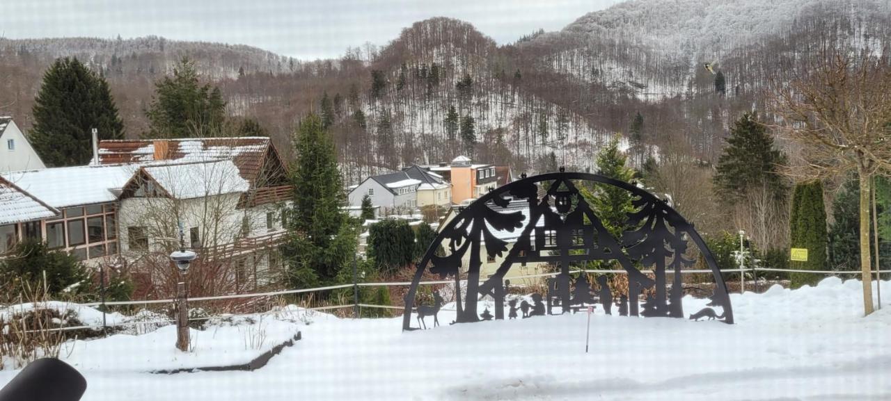 Fewo Harz Haennig 1 Wieda Exterior foto