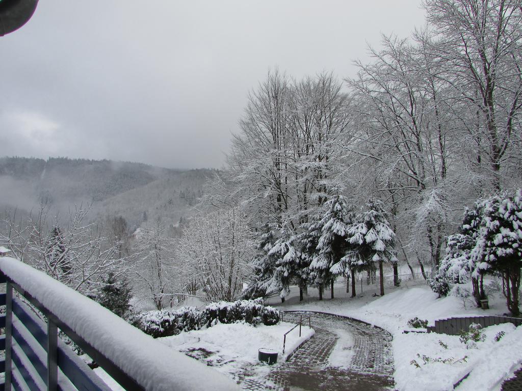 Fewo Harz Haennig 1 Wieda Exterior foto