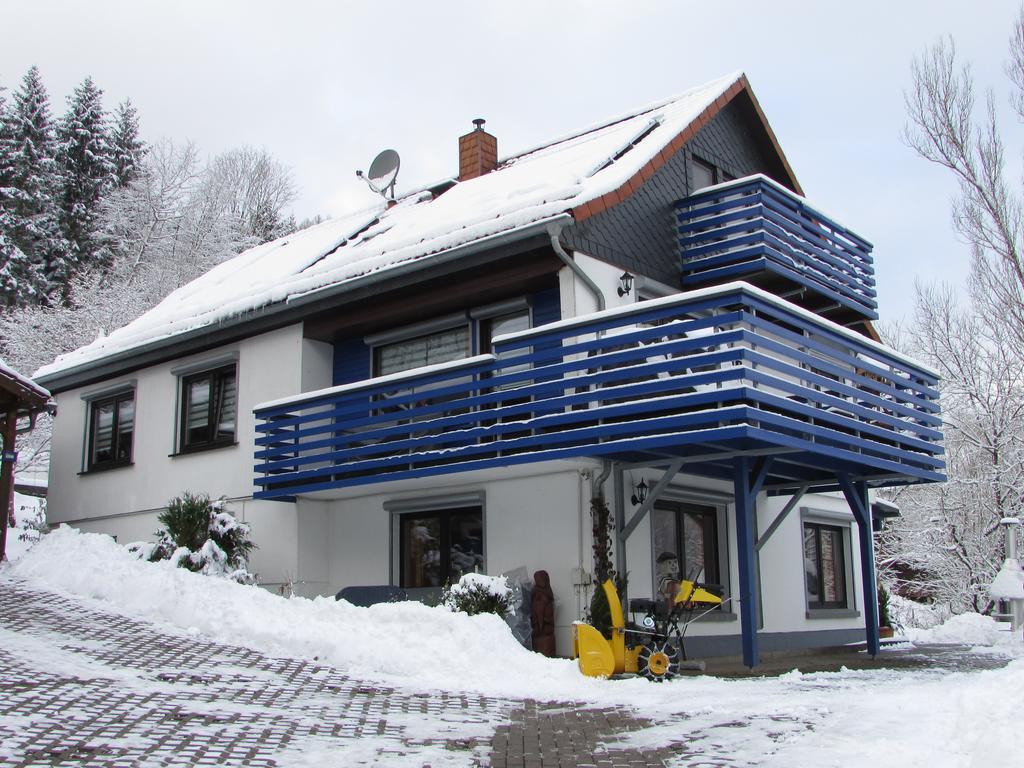 Fewo Harz Haennig 1 Wieda Exterior foto